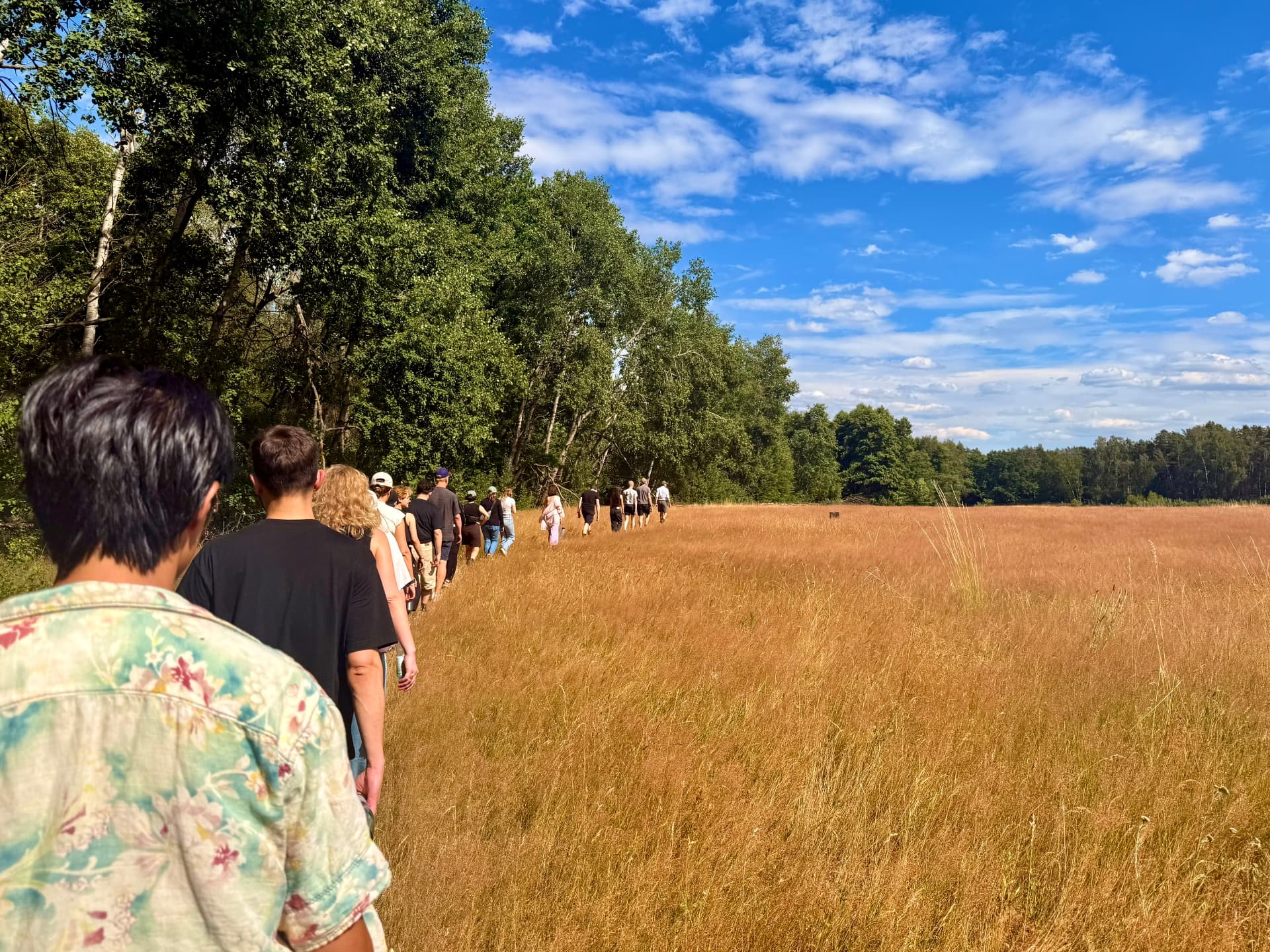 ida-Team beim gemeinsamen Wandern im Hohen Fläming während des Company Offsites.